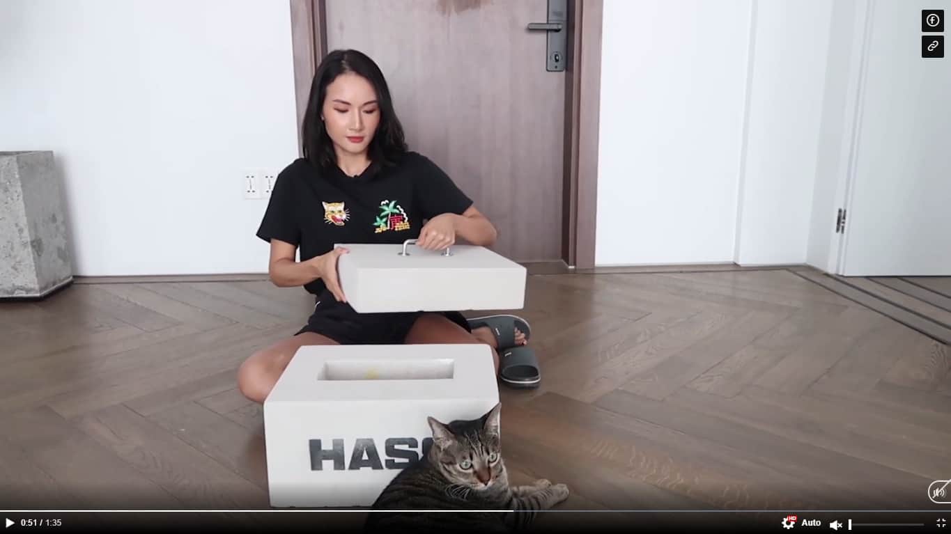 Giang ơi test nhanh độ cách âm của gạch HASS ngay tại nhà